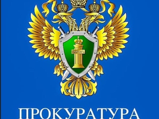 Прокуратурой Рогнединского района проведена проверка исполнения на территории законодательства,  направленного на обеспечение безопасности бесхозных и заброшенных зданий, строений и сооружений..